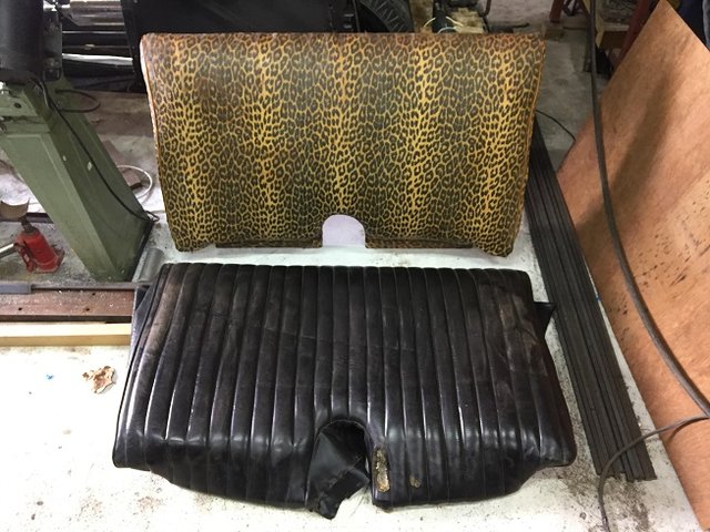 Leopard skin S.jpg