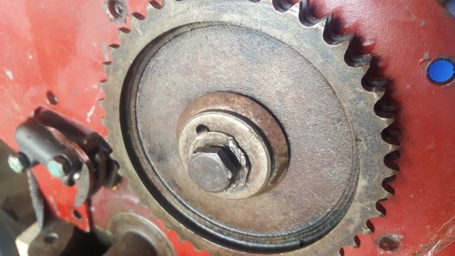 timing chain cog.jpg