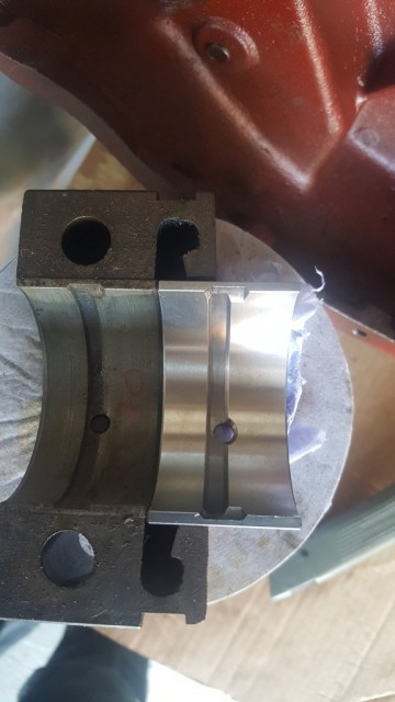 new bearing next to shell.jpg